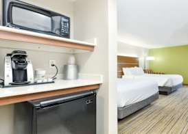 Holiday Inn Express & Suites PIGEON FORGE/NEAR DOLLYWOOD by IHG 5