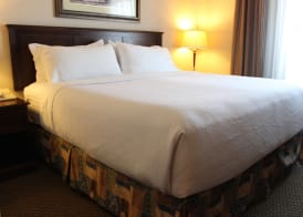 Holiday Inn & Suites WEST EDMONTON by IHG 4