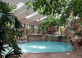 The Park Vista - a DoubleTree by Hilton Hotel - Gatlinburg 5