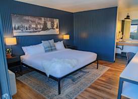 Gravity Haus Winter Park 3