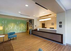Sleep Inn & Suites Tampa South 3