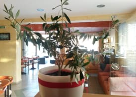 Zannis Hotel 4