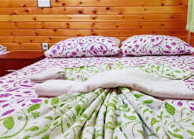 Olympos Tatilya Pansiyon 2