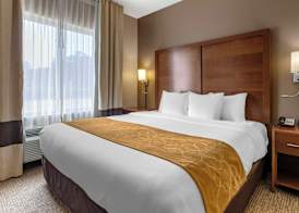 Comfort Suites Coralville I-80 4