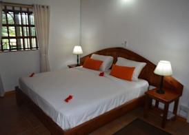 Heliconia Grove 4