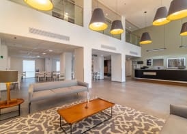City Express by Marriott Chetumal 3