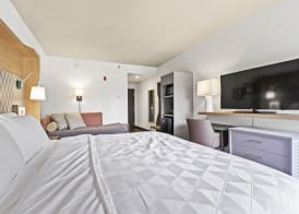 Holiday Inn ST. PETERSBURG WEST by IHG 5