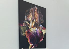Iris Hotel Cape Cod 2