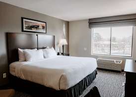 Wingate by Wyndham - Dulles International 3