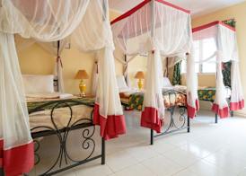 Springlands Hotel Moshi 3