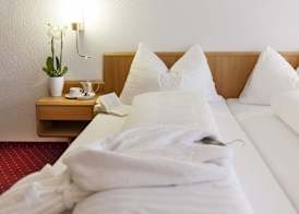 Hotel Stump's Alpenrose 2