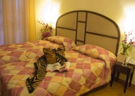 Hotel Novecento 4