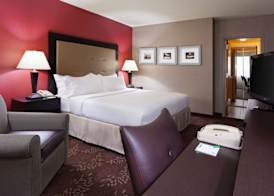 Holiday Inn CINCINNATI AIRPORT by IHG 3