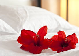 Hotel Acadia 4