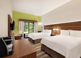 Holiday Inn Express & Suites LAVONIA by IHG 3