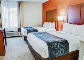 Comfort Suites Tyler South 4