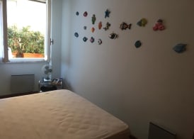 Pitosforo 2