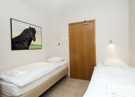 Guesthouse Eldhestar 4