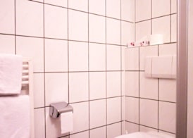Hotel Zur Flora 5
