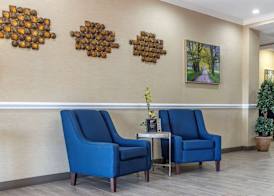 Comfort Inn & Suites Orangeburg 3