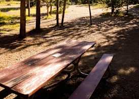 Headwaters Lodge & Cabins at Flagg Ranch 2
