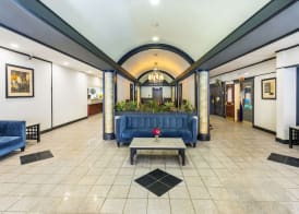 Comfort Inn & Suites 3