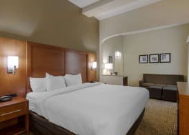 Comfort Suites Columbus State University Area 4