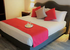 Prima Guest House Collection 5