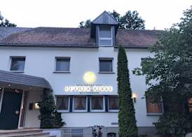 Hotel Luther Birke Wittenberg 3
