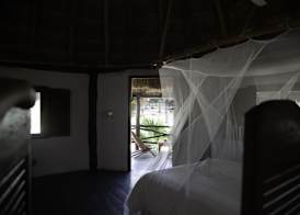 Blue Holbox 3