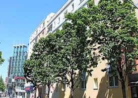 Hotel Kiez Pension Berlin 4