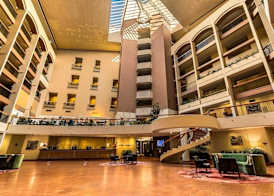 Sydney Harbour Hotel 3