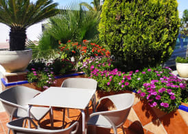 Hotel Carmen 5