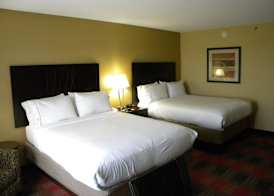 Holiday Inn Express & Suites BOWLING GREEN by IHG 5