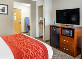 Comfort Inn Hoffman Estates - Schaumburg 5