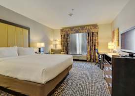 Holiday Inn Express & Suites GONZALES by IHG 3