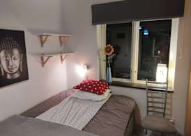 The Pink House 4