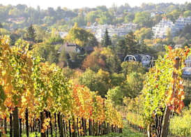 Schild Rooms - Self Check-in - Nature and Wine Area 3