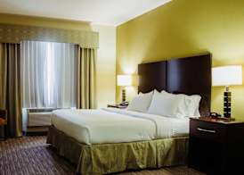 Holiday Inn Express & Suites WALLER - PRAIRIE VIEW by IHG 4