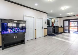 Quality Inn & Suites SeaWorld North 3