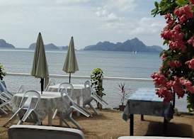 Desert Rose Hotel 4