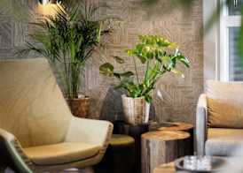 The Hill Guesthouse 2