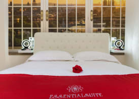 Essential Suite B&B Botanic 4