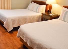 Viscay Hotel 5