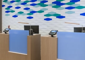 Holiday Inn Express & Suites ORLANDO AT SEAWORLD by IHG 2