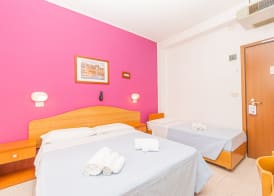 Hotel Arlino 4