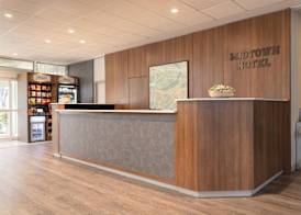 The Midtown Hotel MOD Collection by Sonesta 4