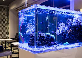 Naha Tokyu REI Hotel 4