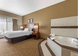 Comfort Inn & Suites Porter near Indiana Dunes 4
