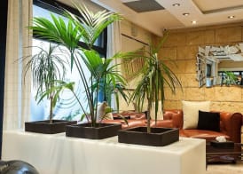 HOTEL COLOMBE 2